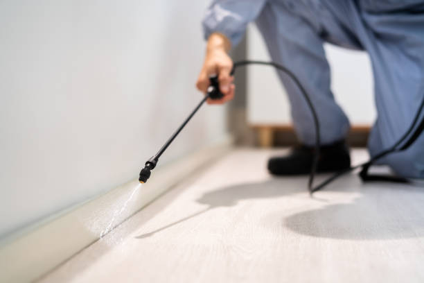 Licensed Pest Control service in Gunnison, UT - Show Me Pest Control